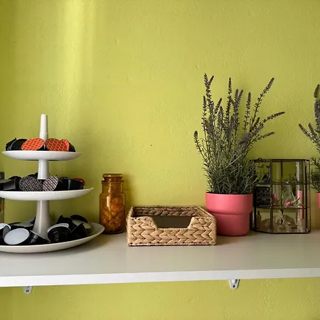 Accommodatie bij particulieren Palazzo Adalgisa Borgoforte